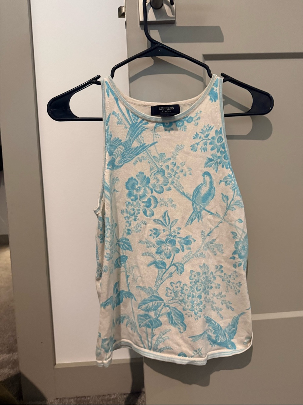 Express Floral & Bird Tank Top in Blue and Cream